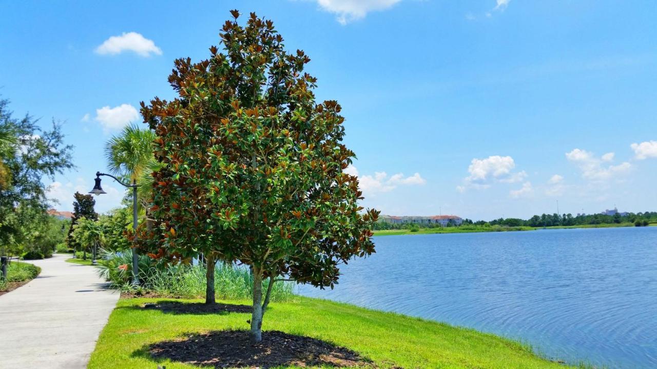 4814 Cayview Avenue #401 Lägenhet Orlando Exteriör bild
